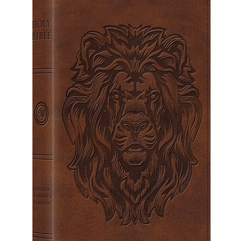 ESV Thinline Bible Imitation Leather – Import, 29 February 2016