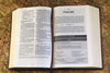 Amplified Study Bible, Imitation Leather, Brown Imitation Leather – 23 March 2017