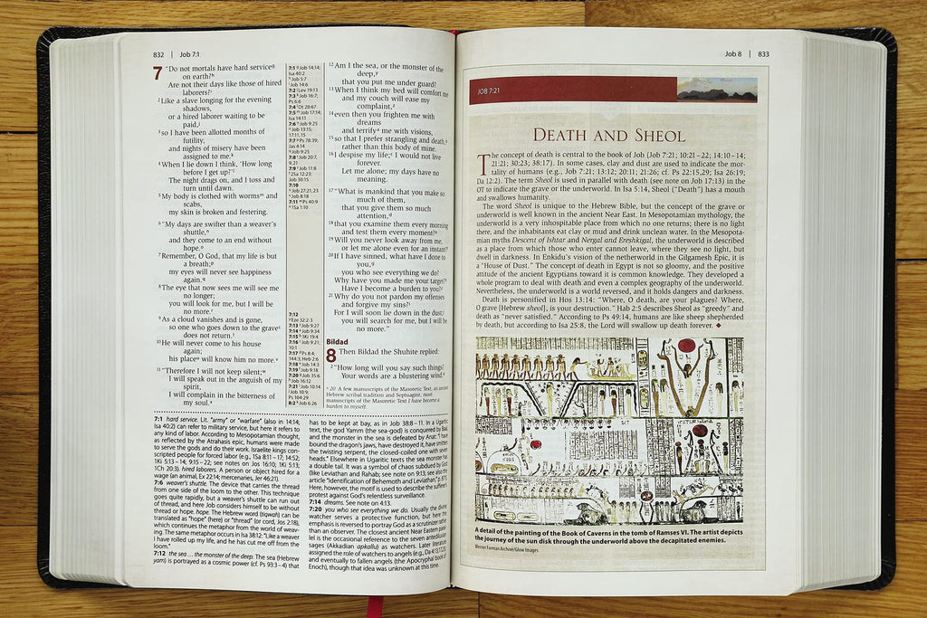 Cultural Backgrounds Study Bible: New International Version, Black, Bonded Leather, Bringing to Life the Ancient World of Scripture Bonded Leather – Illustrated