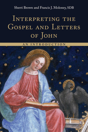 Interpreting the Gospel and Letters of John: An Introduction
