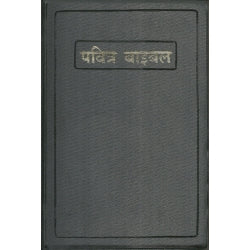 Hindi regular Bible