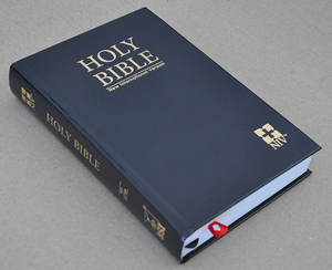 NIV Bible HB RL