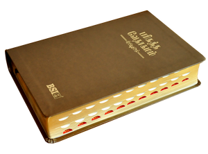 Tamil Bible OV Gilt DY TI Brown PU Yaap