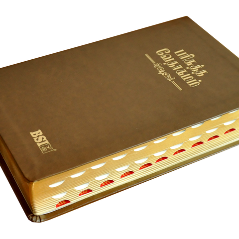 Tamil Bible OV Gilt DY TI Brown PU Yaap