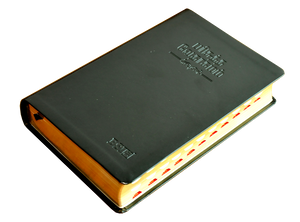 Tamil Bible OV Gilt DY TI Black PU Yaap