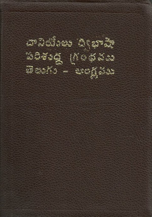 DANIEL BILLINGUAL TELUGU & ENGLISH - డేనియల్  తెలుగు & ఇంగ్లీష్ బైబిల్ - దానియేలు ద్విభాషా పరిశుద్ధ గ్రంథము: తెలుగు