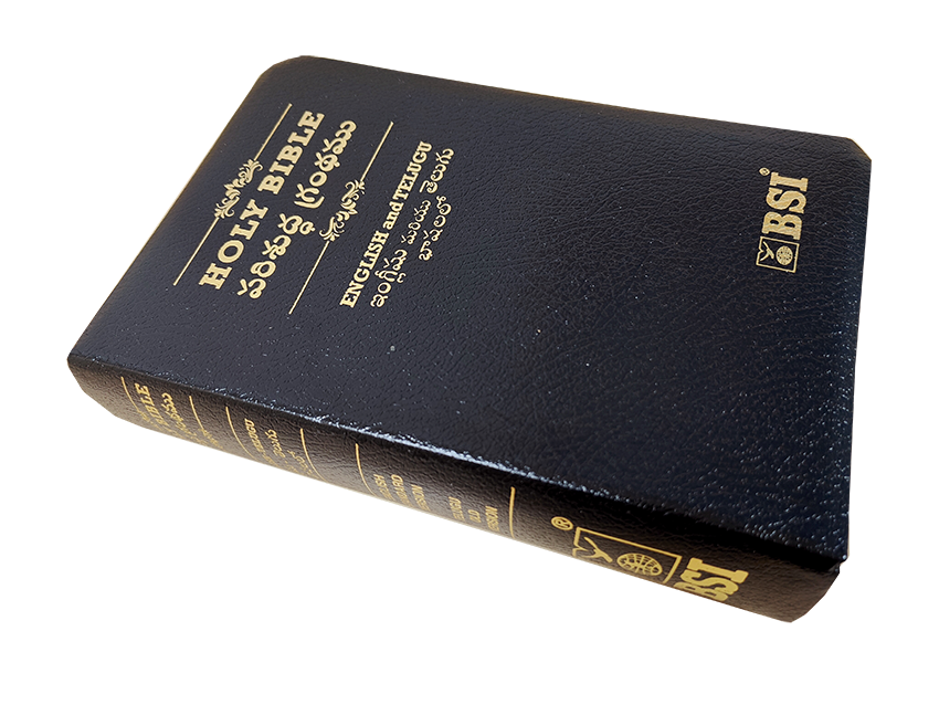 Telugu English Side by Side Bible - Telugu English Diglot Bible