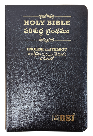 Telugu English Side by Side Bible - Telugu English Diglot Bible