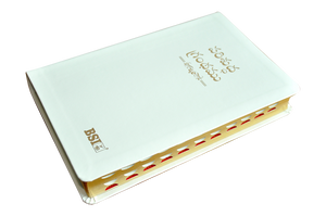 Telugu OV Gilt DY TI White PU Yaap