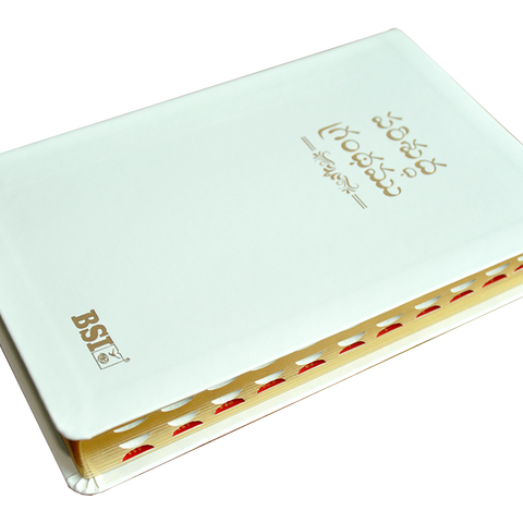 Telugu OV Gilt DY TI White PU Yaap