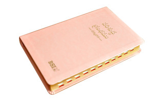 Telugu OV Gilt DY TI Pink PU Yaap