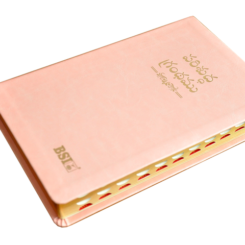 Telugu OV Gilt DY TI Pink PU Yaap